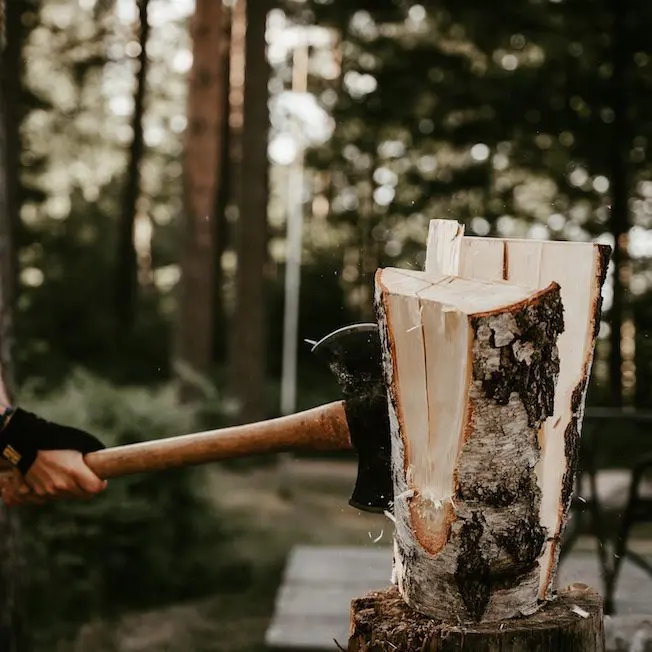 houthakken nordic woods glamping