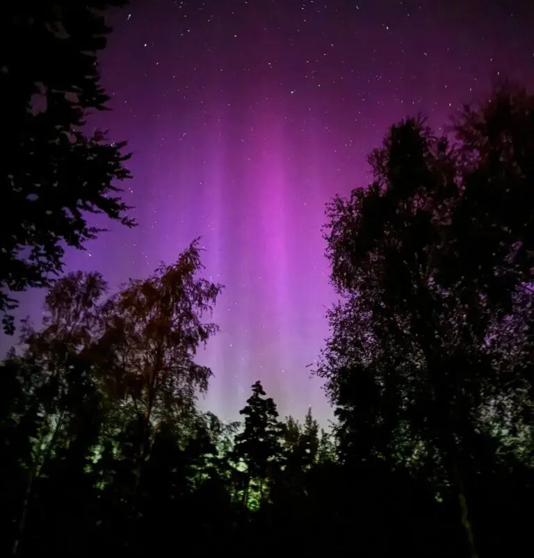 Noorderlicht nordic woods glamping
