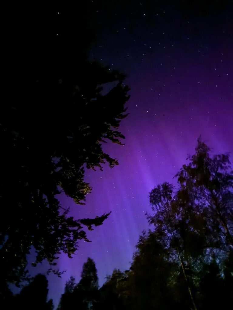 Noorderlicht nordic woods glamping