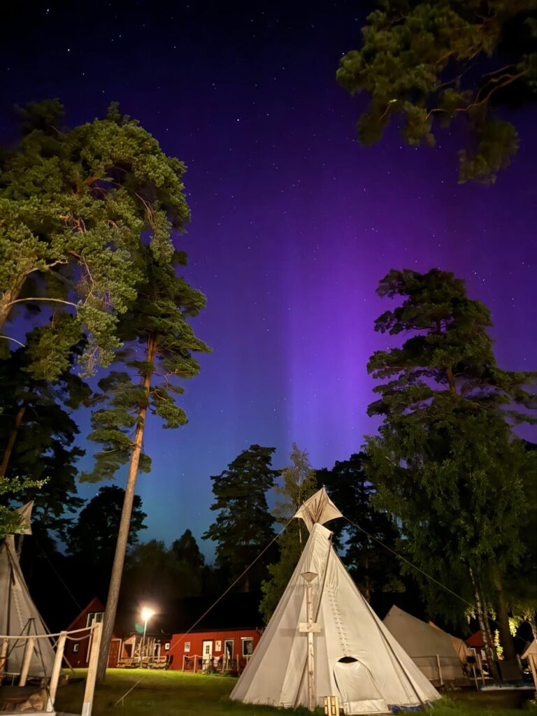 Noorderlicht nordic woods glamping