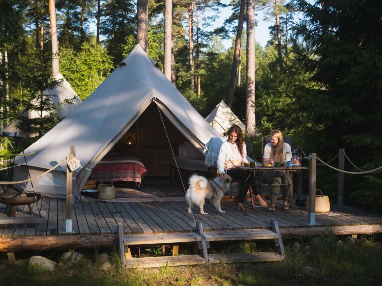 Nordic woods glamping