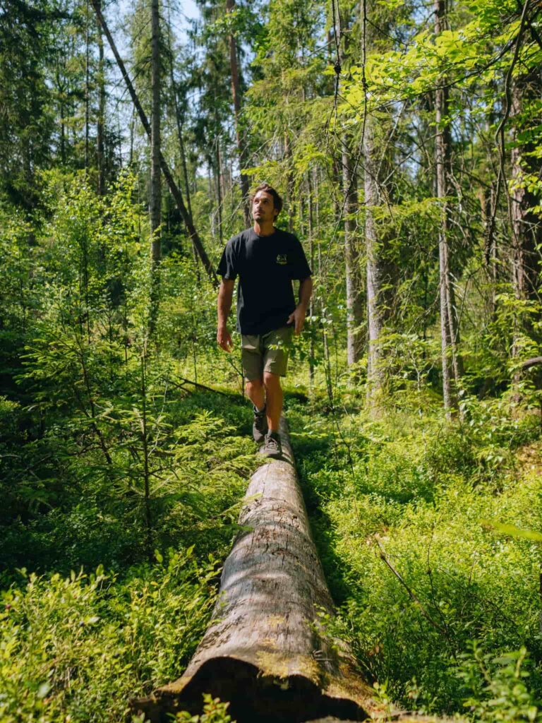 hike nordic woods glamping