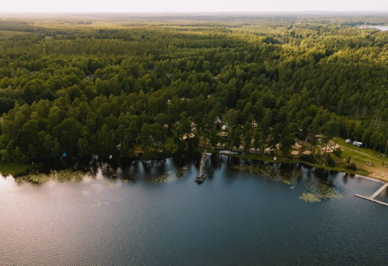 Nordic woods glamping